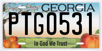 GA license plate PTG0531