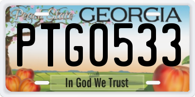 GA license plate PTG0533