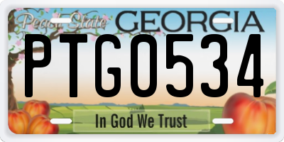 GA license plate PTG0534