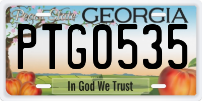 GA license plate PTG0535
