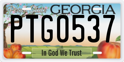 GA license plate PTG0537