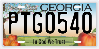 GA license plate PTG0540