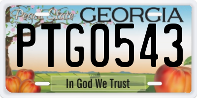 GA license plate PTG0543
