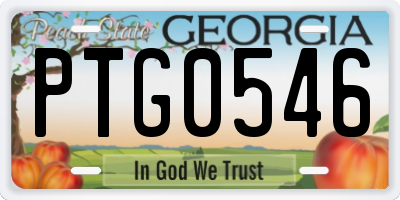 GA license plate PTG0546