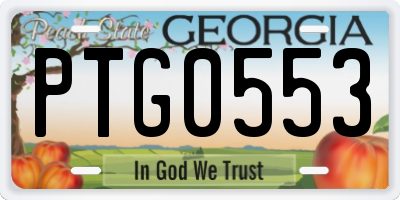 GA license plate PTG0553