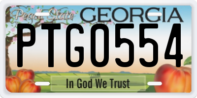 GA license plate PTG0554