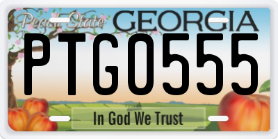 GA license plate PTG0555