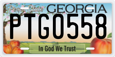GA license plate PTG0558