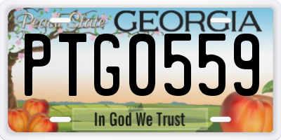 GA license plate PTG0559