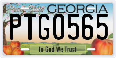 GA license plate PTG0565