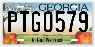GA license plate PTG0579