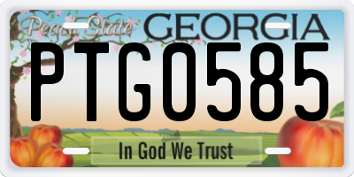 GA license plate PTG0585