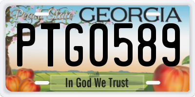 GA license plate PTG0589