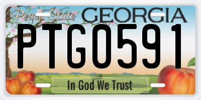 GA license plate PTG0591