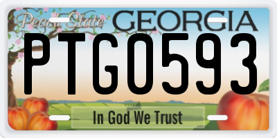 GA license plate PTG0593
