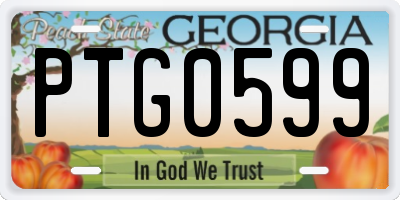 GA license plate PTG0599