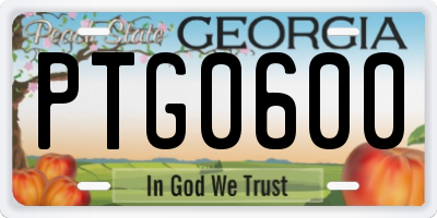 GA license plate PTG0600