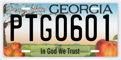GA license plate PTG0601