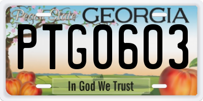 GA license plate PTG0603