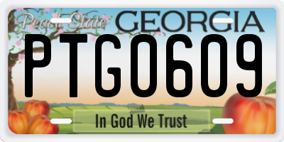 GA license plate PTG0609