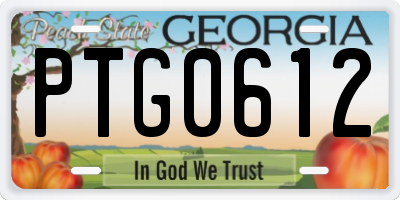 GA license plate PTG0612