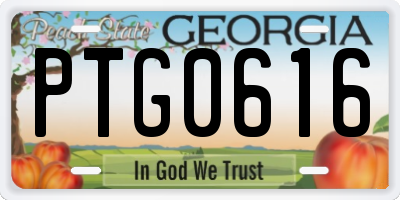 GA license plate PTG0616