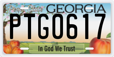 GA license plate PTG0617