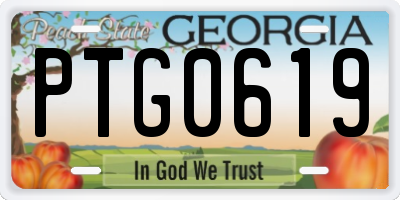 GA license plate PTG0619