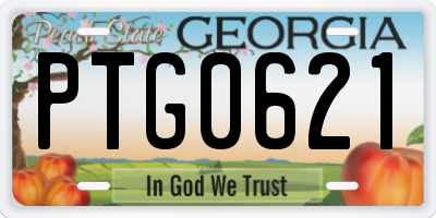 GA license plate PTG0621
