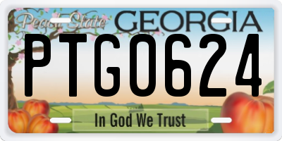 GA license plate PTG0624