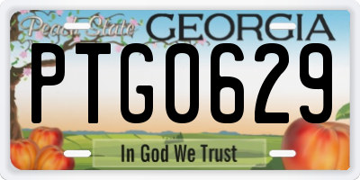 GA license plate PTG0629