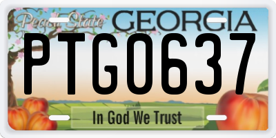 GA license plate PTG0637