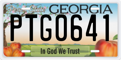 GA license plate PTG0641