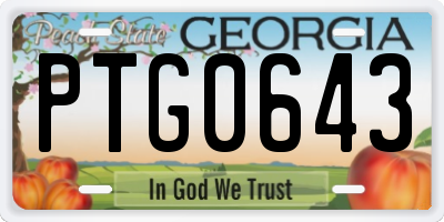 GA license plate PTG0643