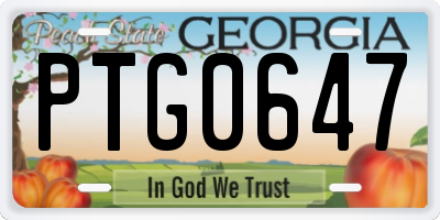 GA license plate PTG0647