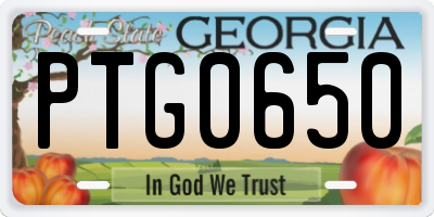 GA license plate PTG0650