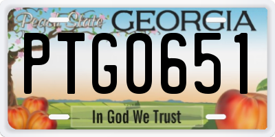 GA license plate PTG0651
