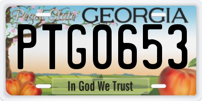GA license plate PTG0653