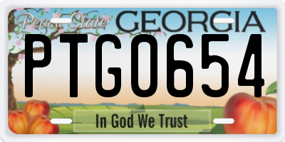 GA license plate PTG0654
