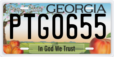 GA license plate PTG0655