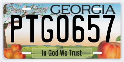 GA license plate PTG0657