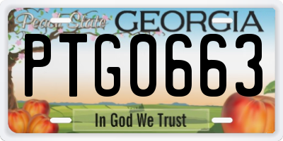 GA license plate PTG0663