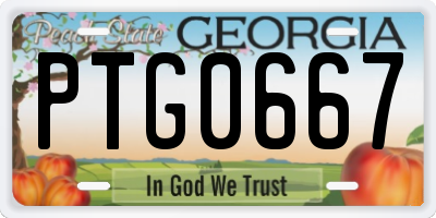 GA license plate PTG0667