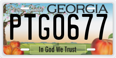 GA license plate PTG0677
