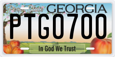 GA license plate PTG0700