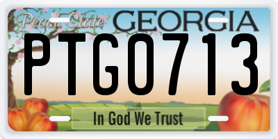 GA license plate PTG0713