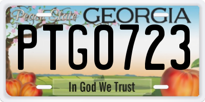 GA license plate PTG0723