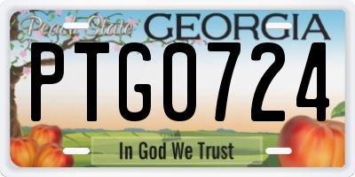 GA license plate PTG0724