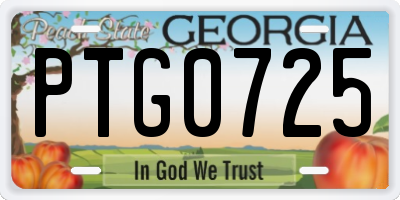 GA license plate PTG0725