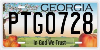 GA license plate PTG0728